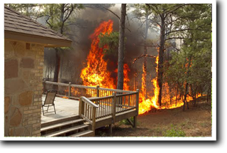wildfire
